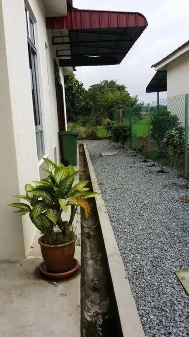 Cozy Homestay In Central Pokok Sena Exterior photo